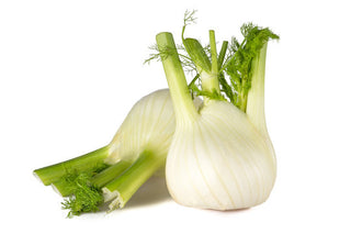 Finocchi
