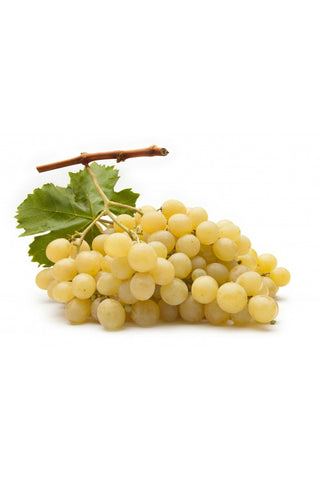 Uva Italia