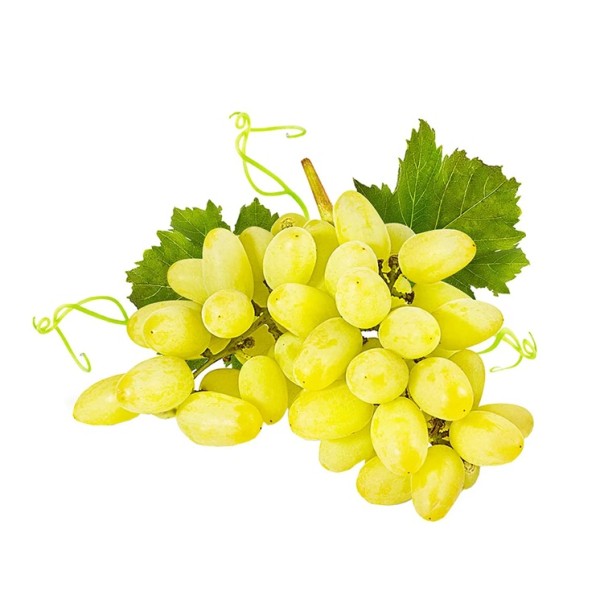 Uva senza semi