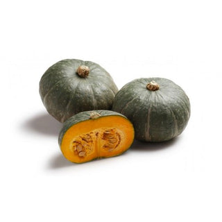Zucca delica