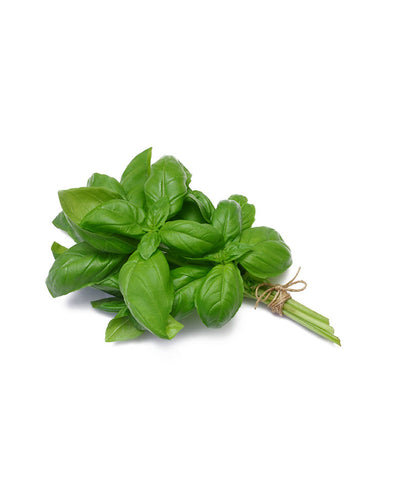 Basilico
