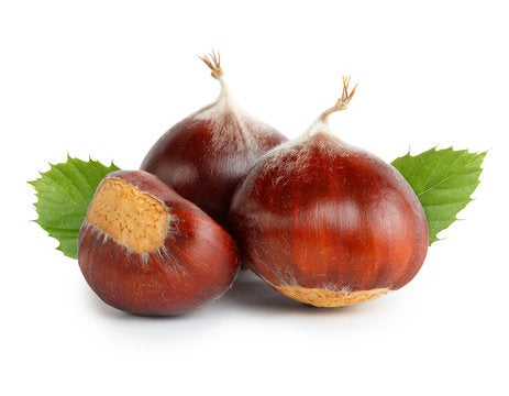 Castagne