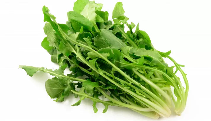 Cicorietta