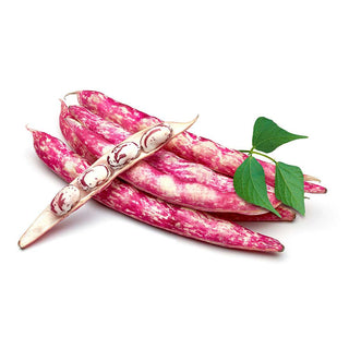Fagioli borlotti