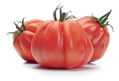 Pomodoro Cuore di bue
