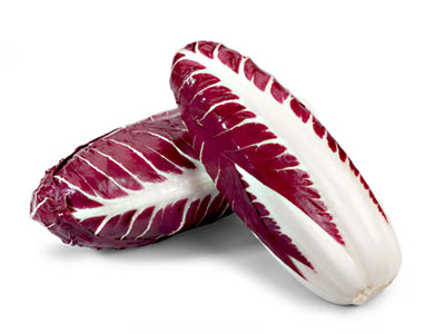 Radicchio lungo