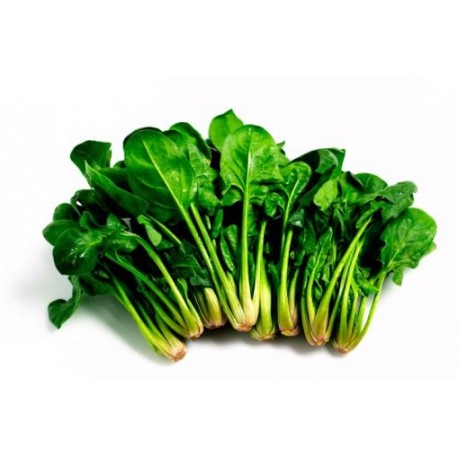 Spinaci selvatici